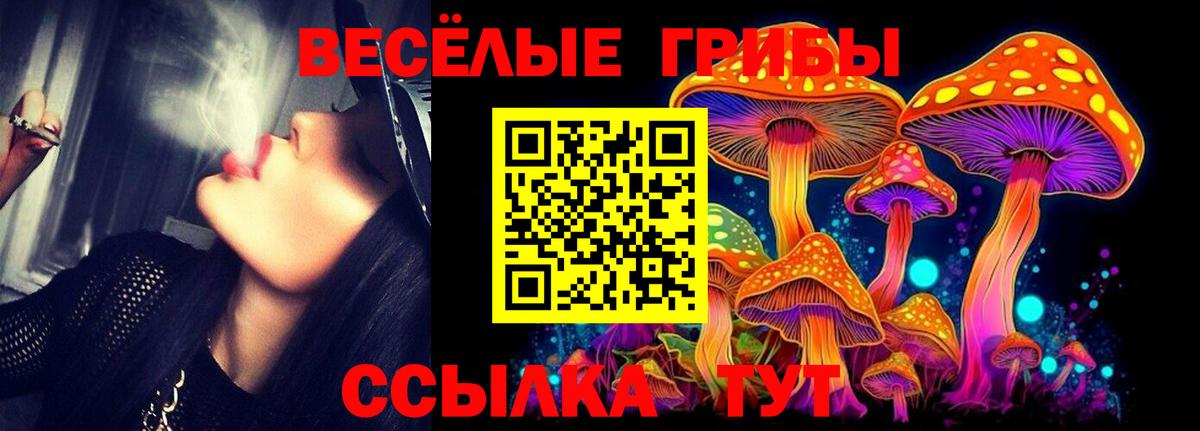 Псилоцибиновые грибы прущие грибы  Вход с VPN  Ульяновск 